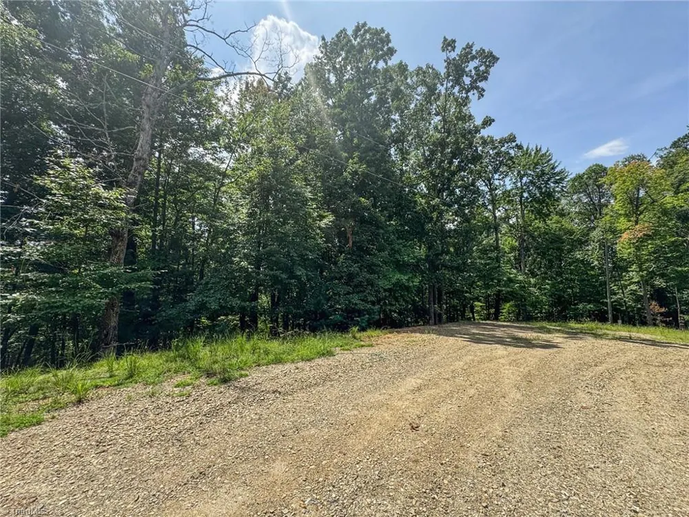 TBD Timber Ridge Road McGrady, NC 28649