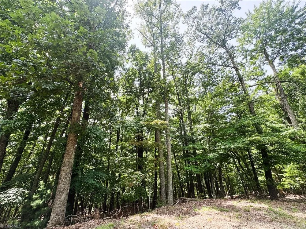 TBD Timber Ridge Road McGrady, NC 28649