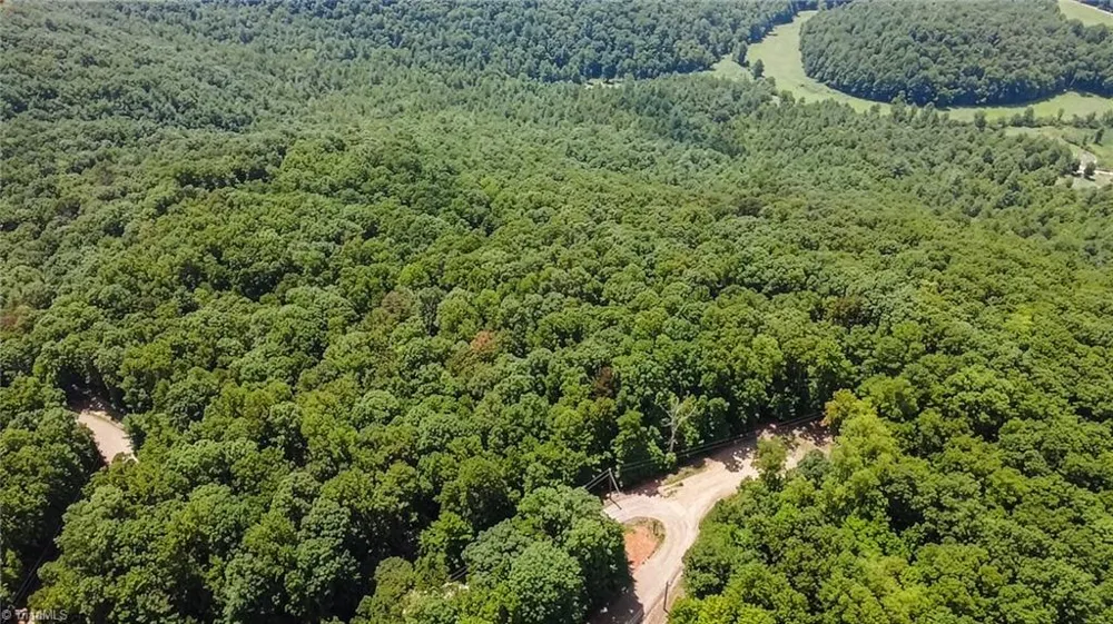 TBD Timber Ridge Road McGrady, NC 28649