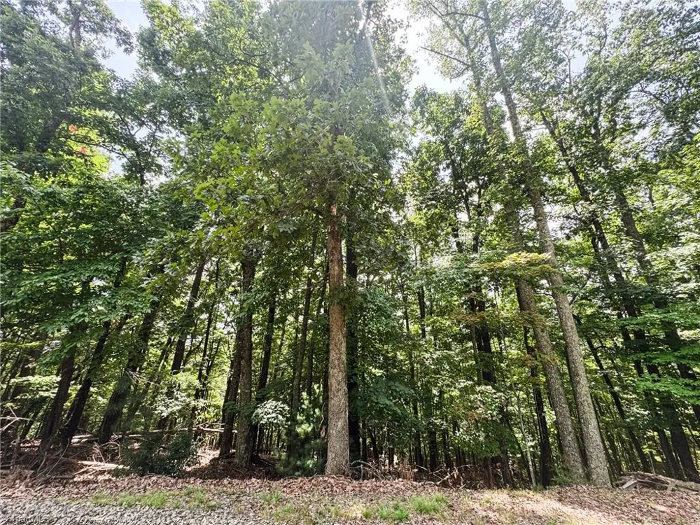 TBD Timber Ridge Road McGrady, NC 28649
