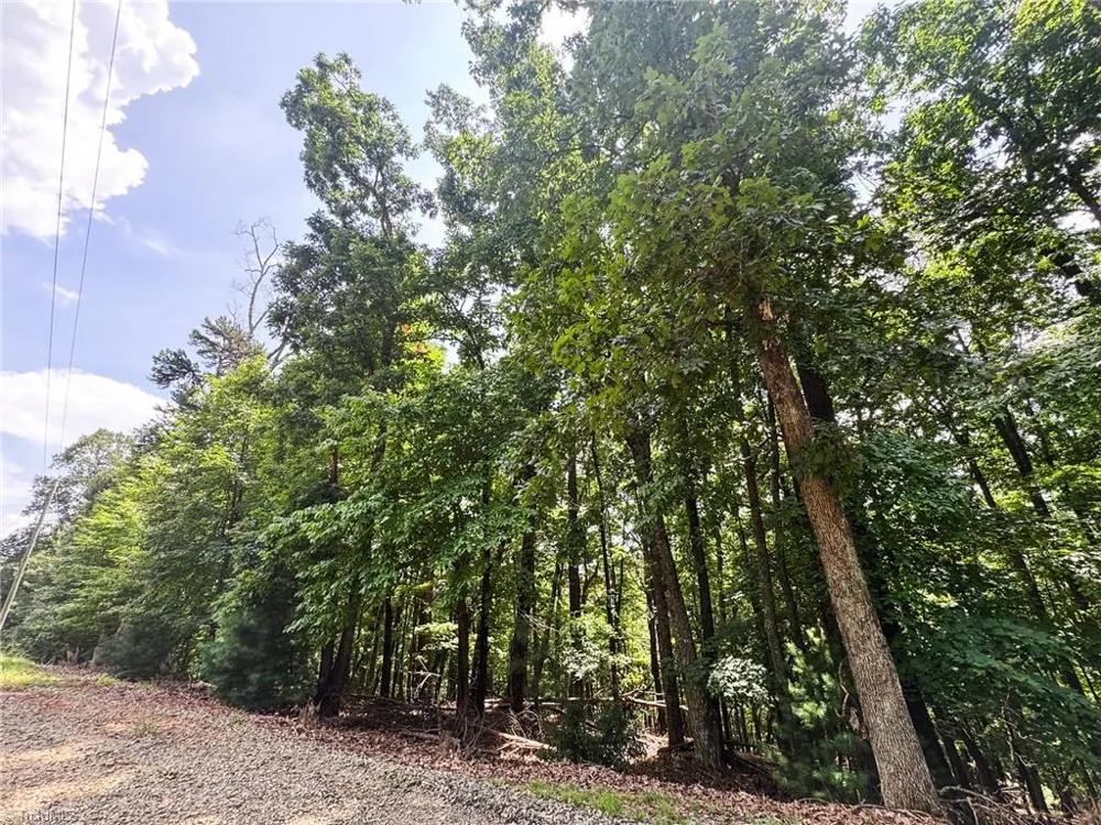 TBD Timber Ridge Road McGrady, NC 28649
