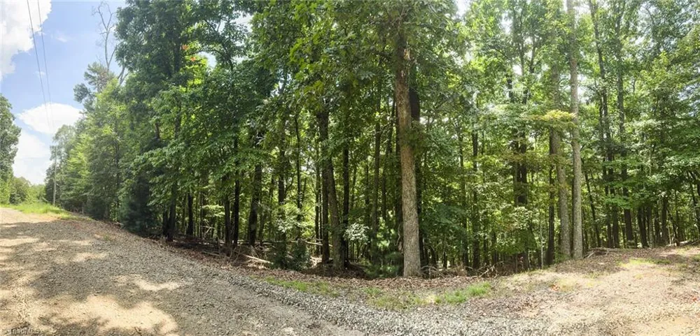 TBD Timber Ridge Road McGrady, NC 28649