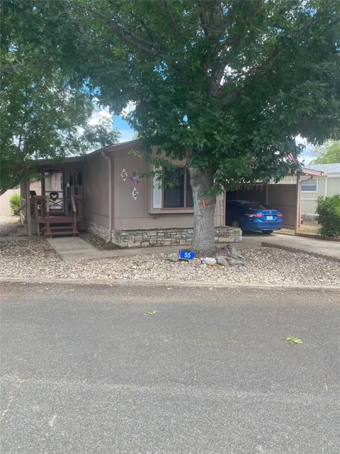 55 Maple Road S
