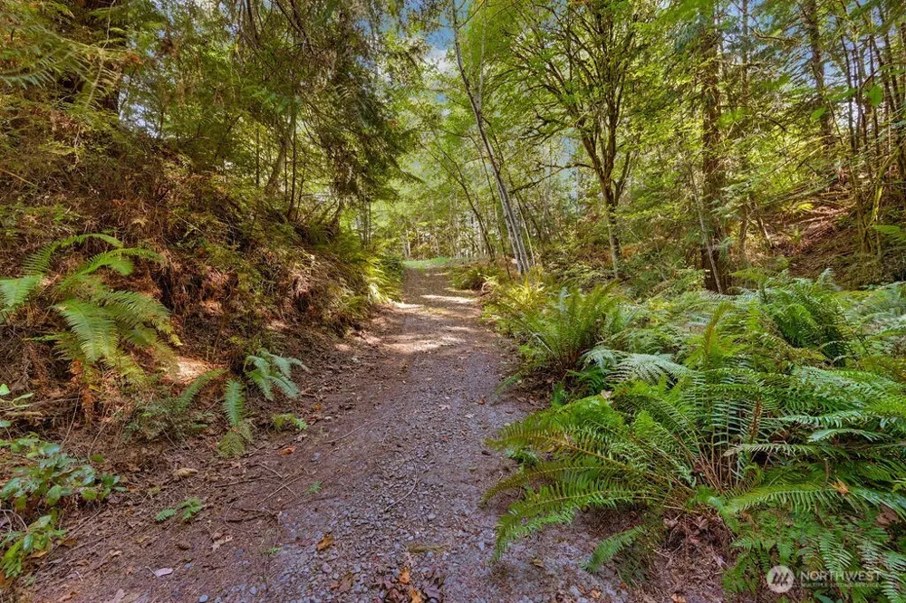 32 & 36 Foxglove Lane Quilcene, WA 98376