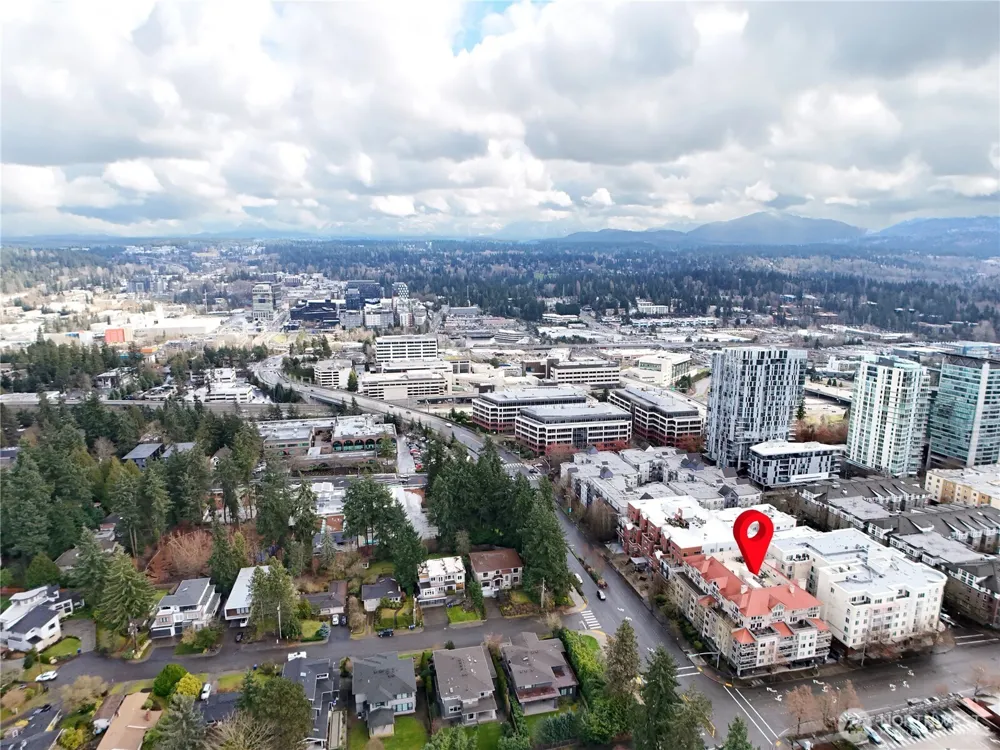 11011 NE 12th Street #202 Bellevue, WA 98004