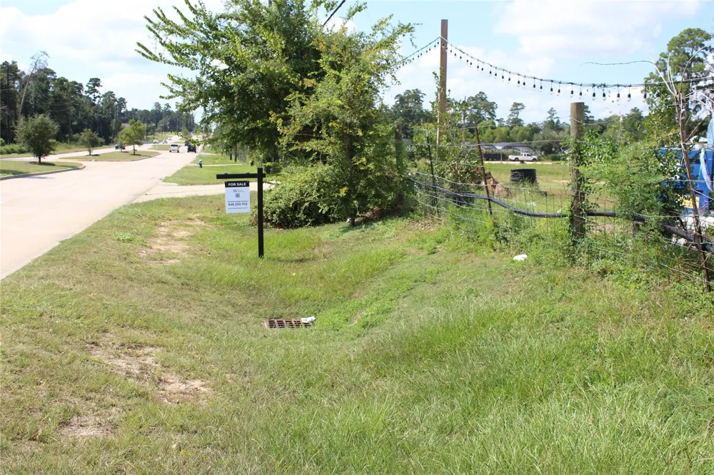 Gosling Road Spring, TX 77389