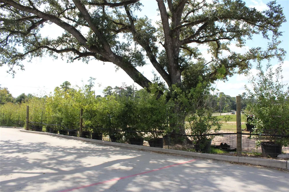 Gosling Road Spring, TX 77389