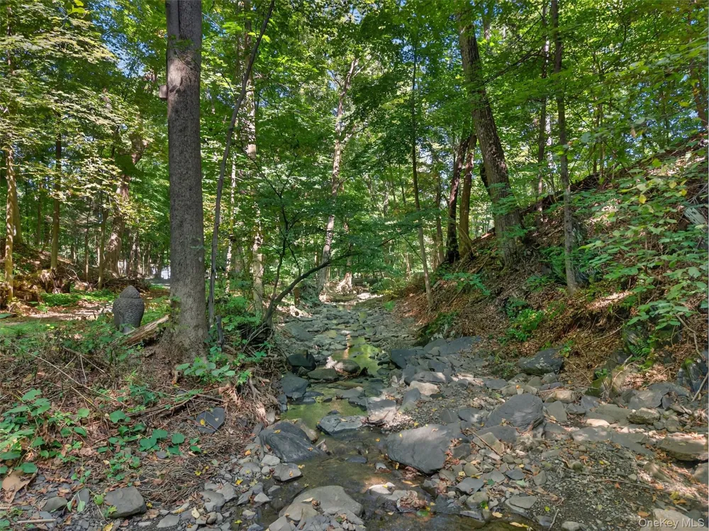 331 Mountain Lodge Road Blooming Grove, NY 10914
