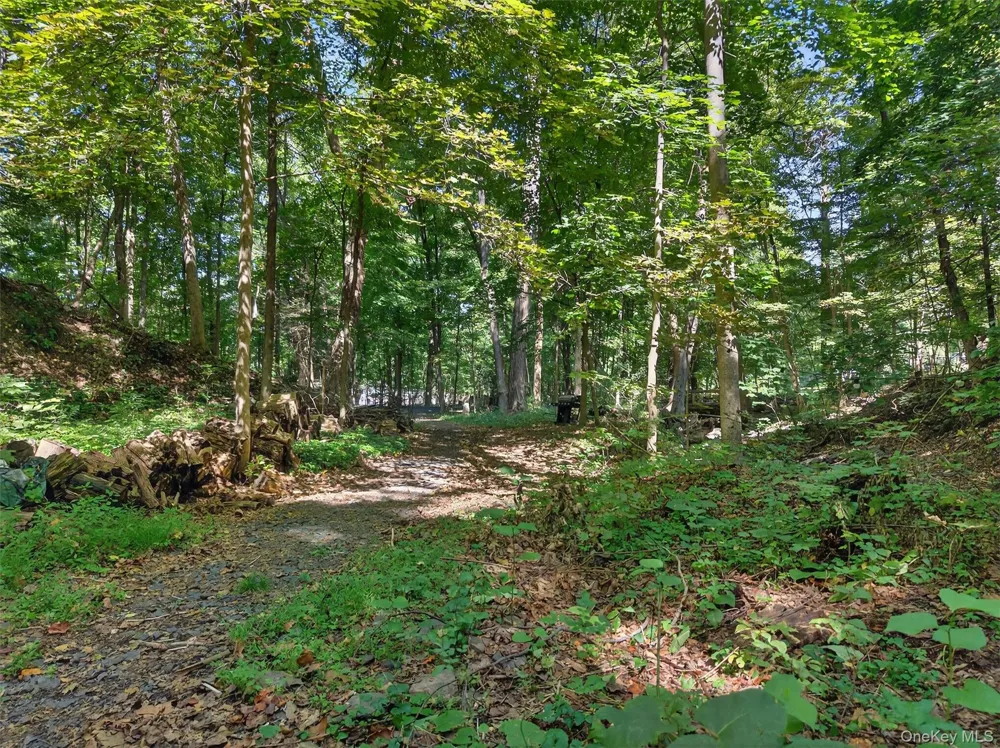 331 Mountain Lodge Road Blooming Grove, NY 10914