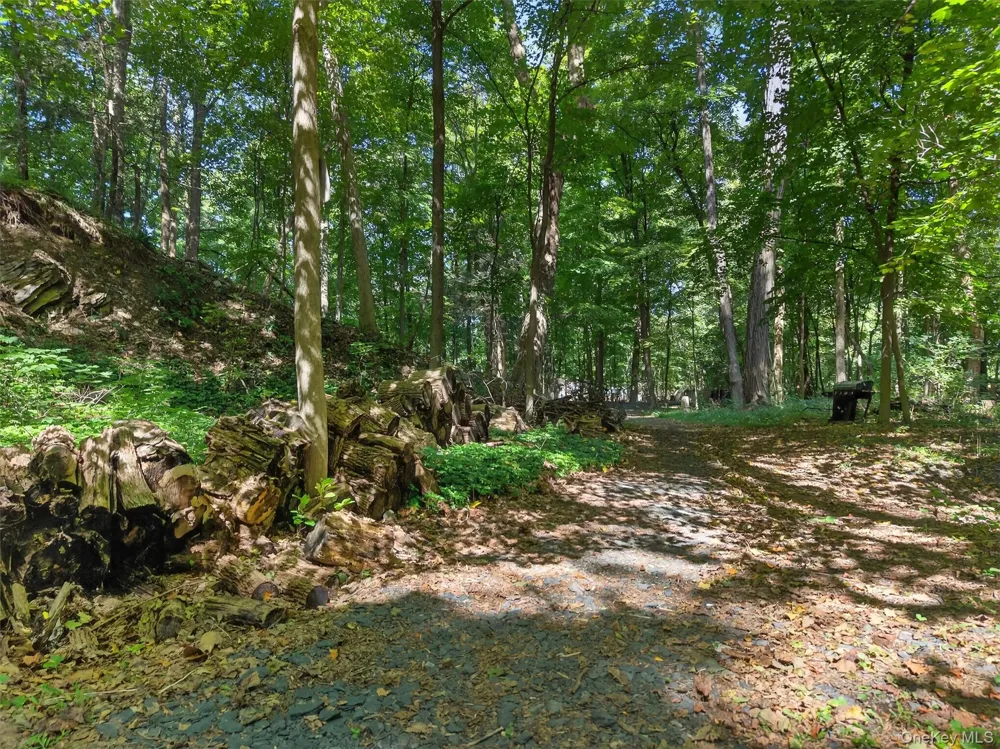 331 Mountain Lodge Road Blooming Grove, NY 10914