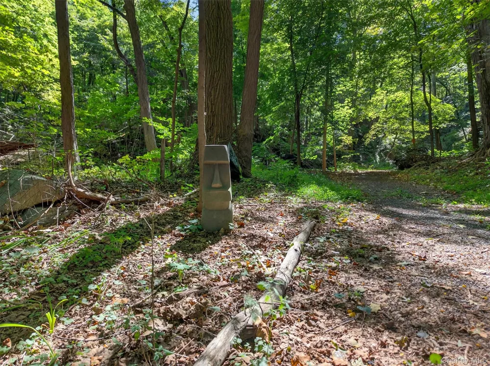 331 Mountain Lodge Road Blooming Grove, NY 10914