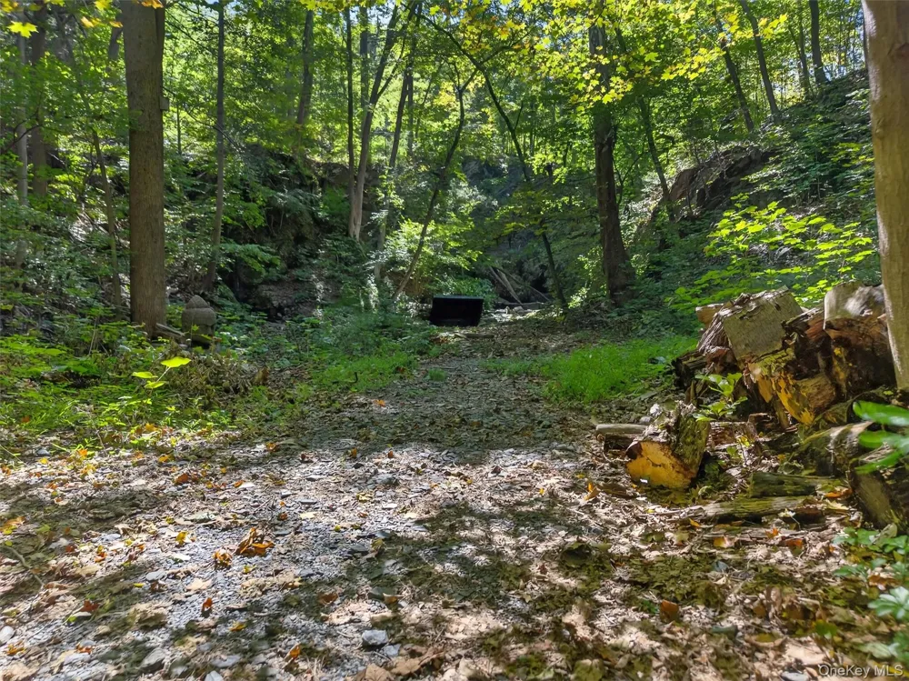 331 Mountain Lodge Road Blooming Grove, NY 10914