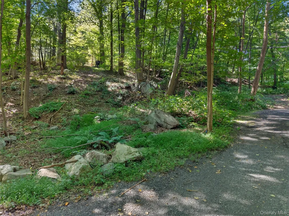 331 Mountain Lodge Road Blooming Grove, NY 10914