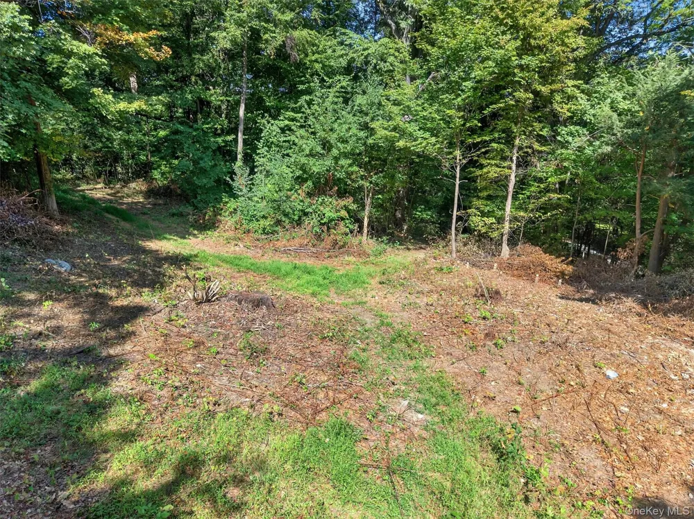 331 Mountain Lodge Road Blooming Grove, NY 10914