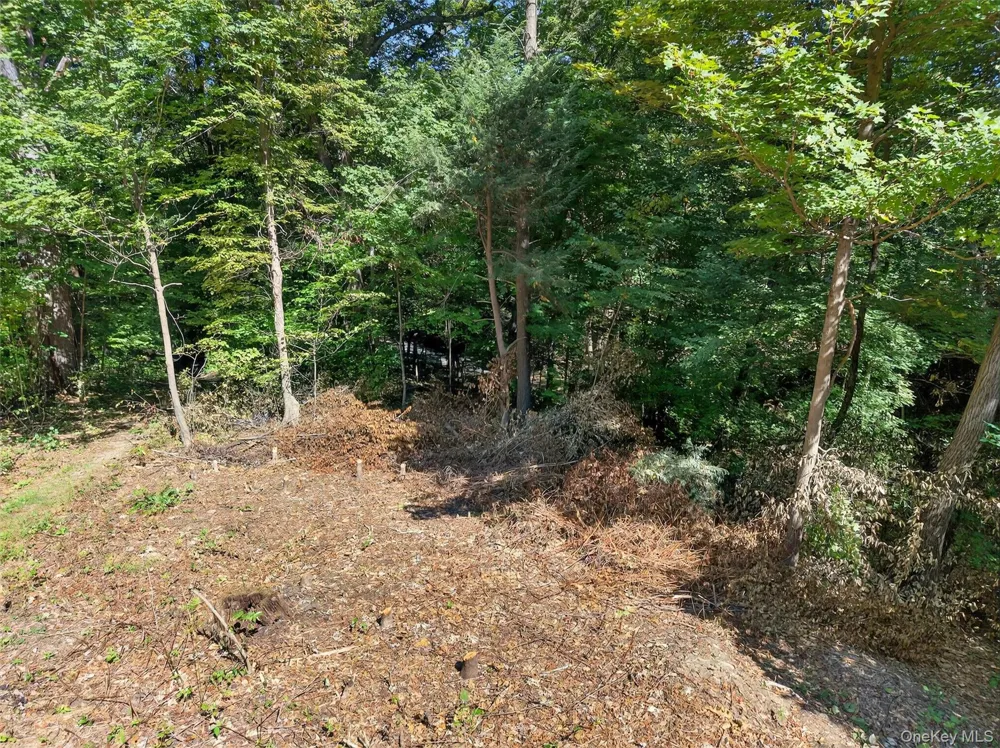 331 Mountain Lodge Road Blooming Grove, NY 10914