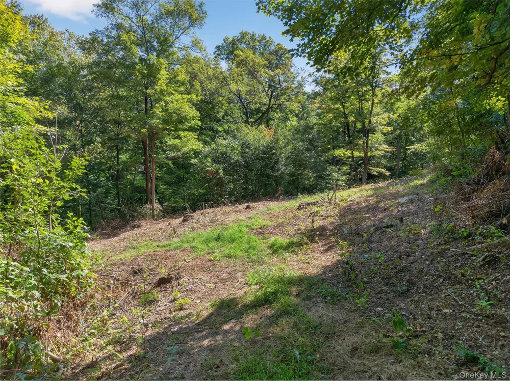 331 Mountain Lodge Road Blooming Grove, NY 10914