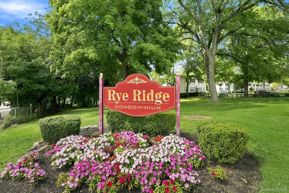 19 Avon Circle #D Rye Brook, NY 10573