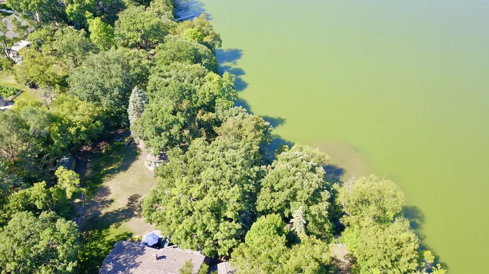 800 Bryant Street Alexandria, MN 56308