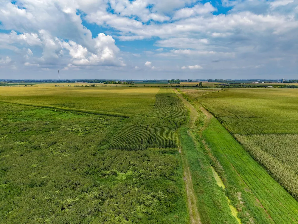 TBD 110th Avenue Claremont, MN 55924