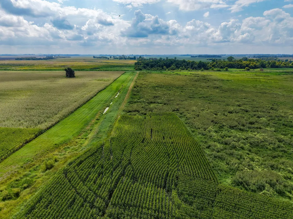 TBD 110th Avenue Claremont, MN 55924