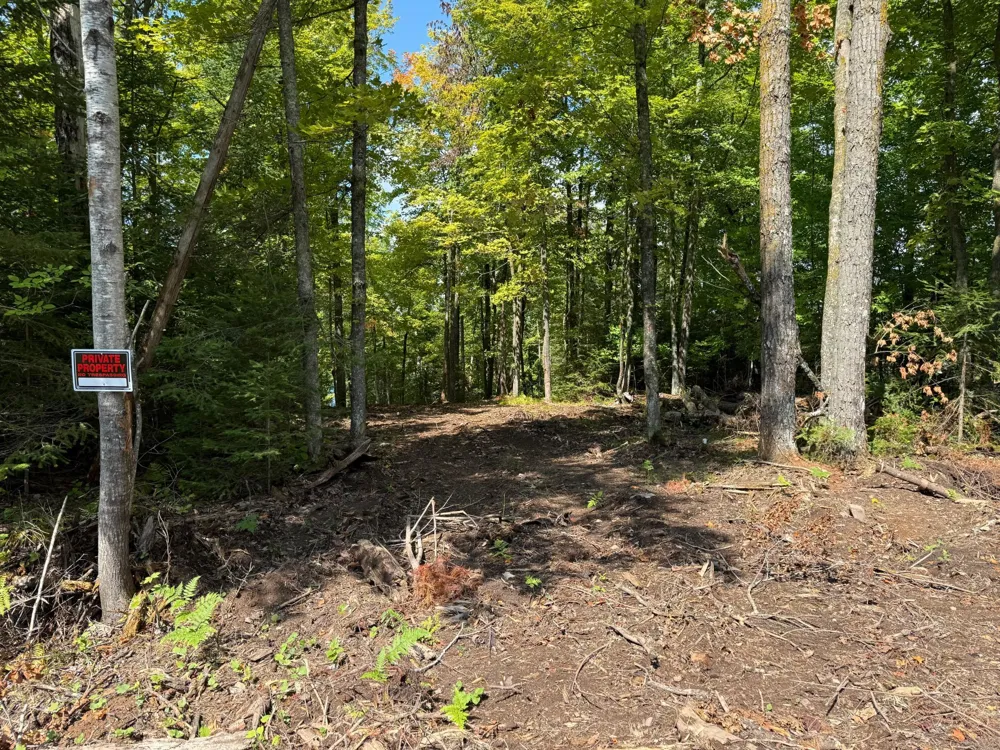 TBD2 Long Lake Road Stone Lake, WI 54876