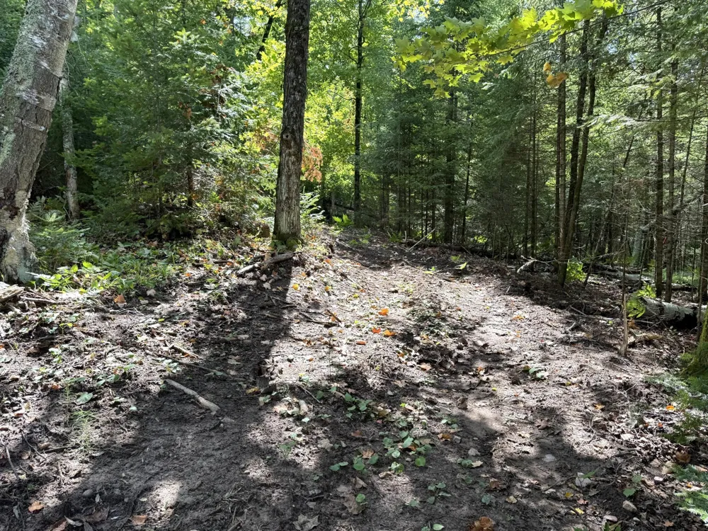 TBD2 Long Lake Road Stone Lake, WI 54876