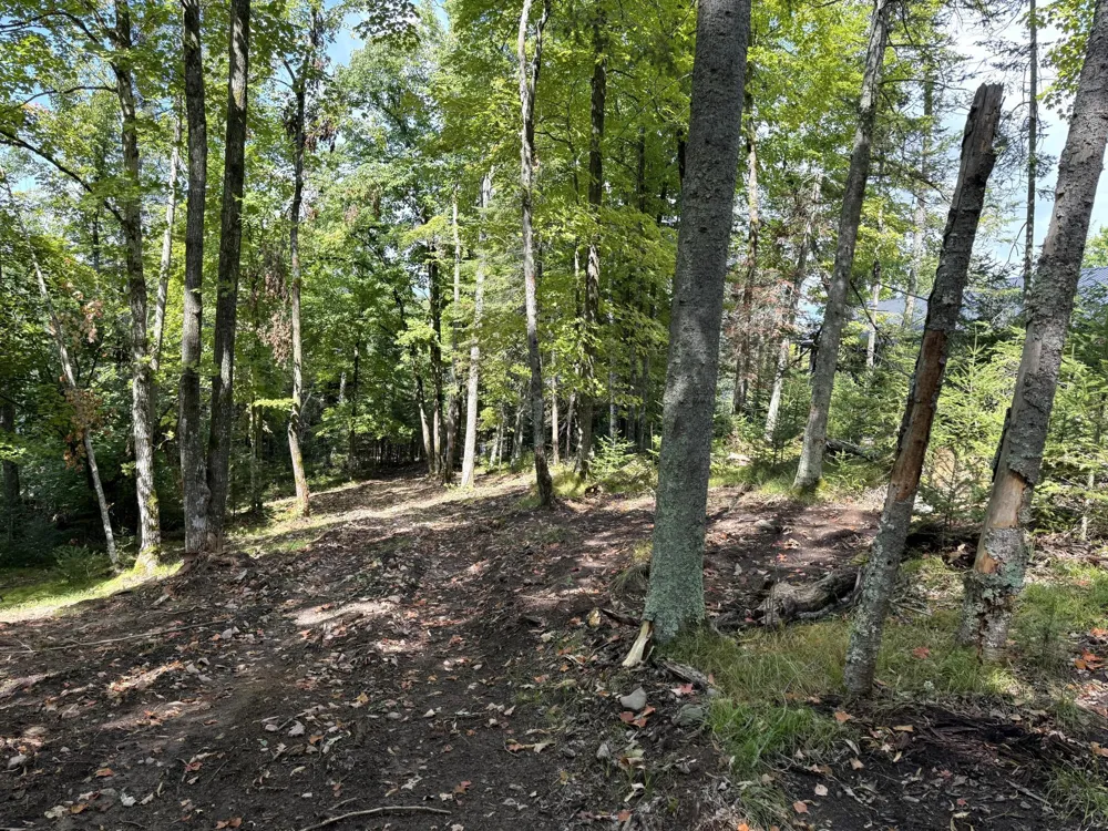 TBD2 Long Lake Road Stone Lake, WI 54876