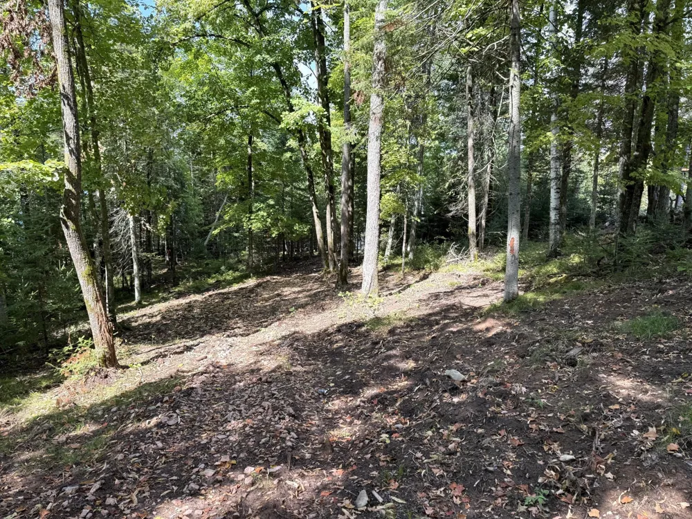 TBD2 Long Lake Road Stone Lake, WI 54876