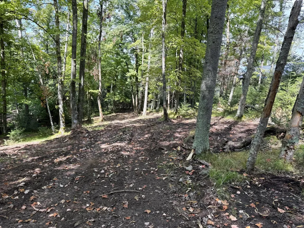 TBD2 Long Lake Road Stone Lake, WI 54876