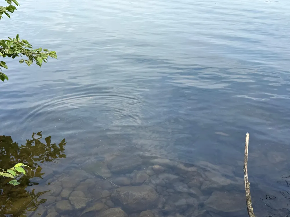 TBD2 Long Lake Road Stone Lake, WI 54876