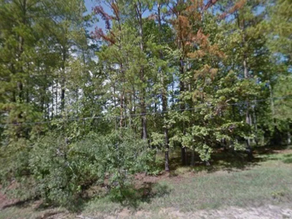340 Oak Tree Drive Point Blank, TX 77364