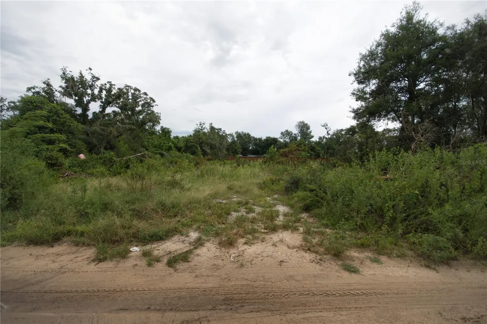 SE 144TH LANE Umatilla, FL 32784