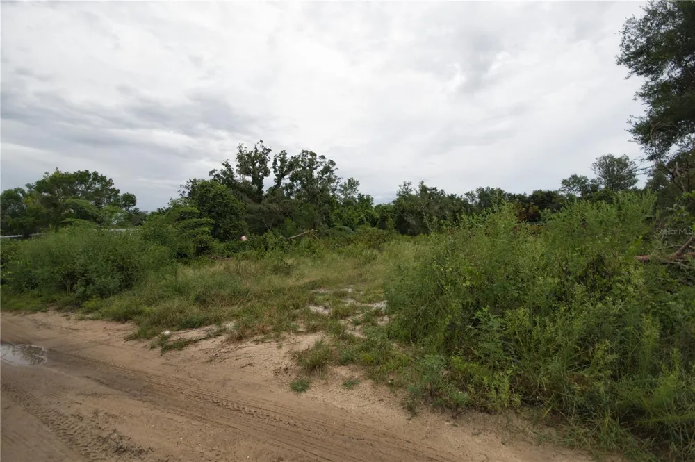 SE 144TH LANE Umatilla, FL 32784