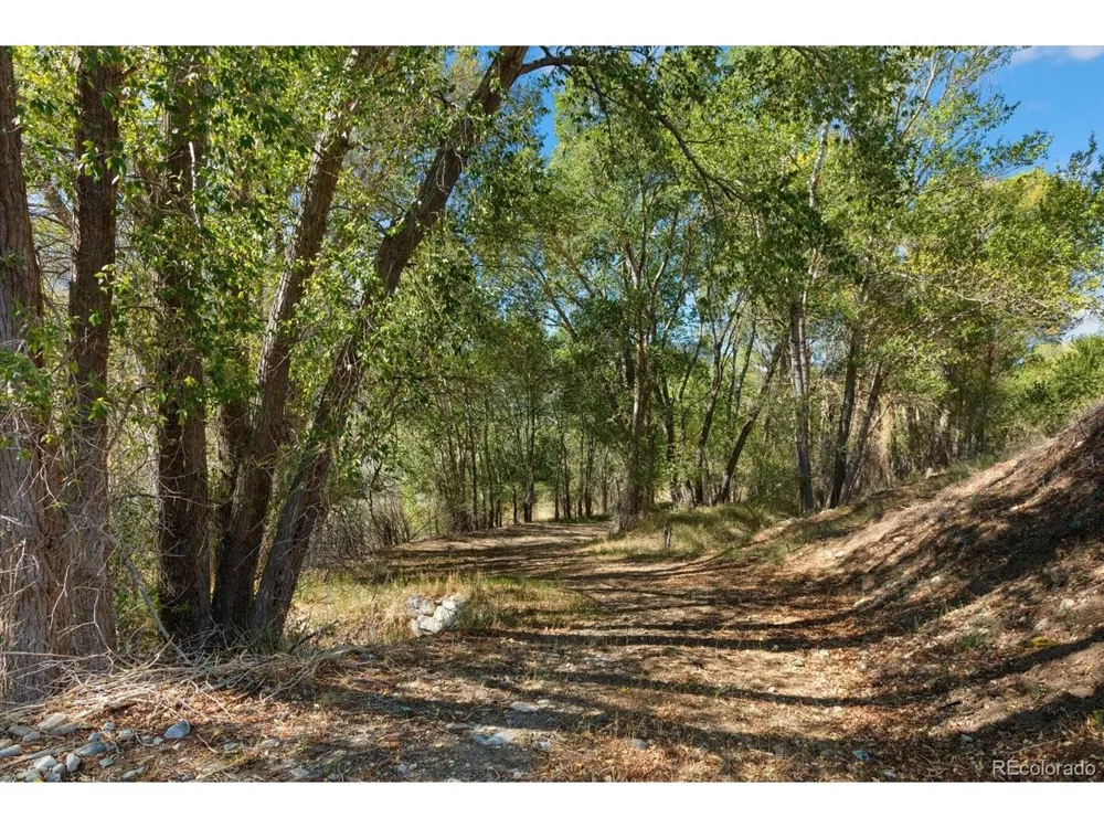 9901 County Road 120 Salida, CO 81201