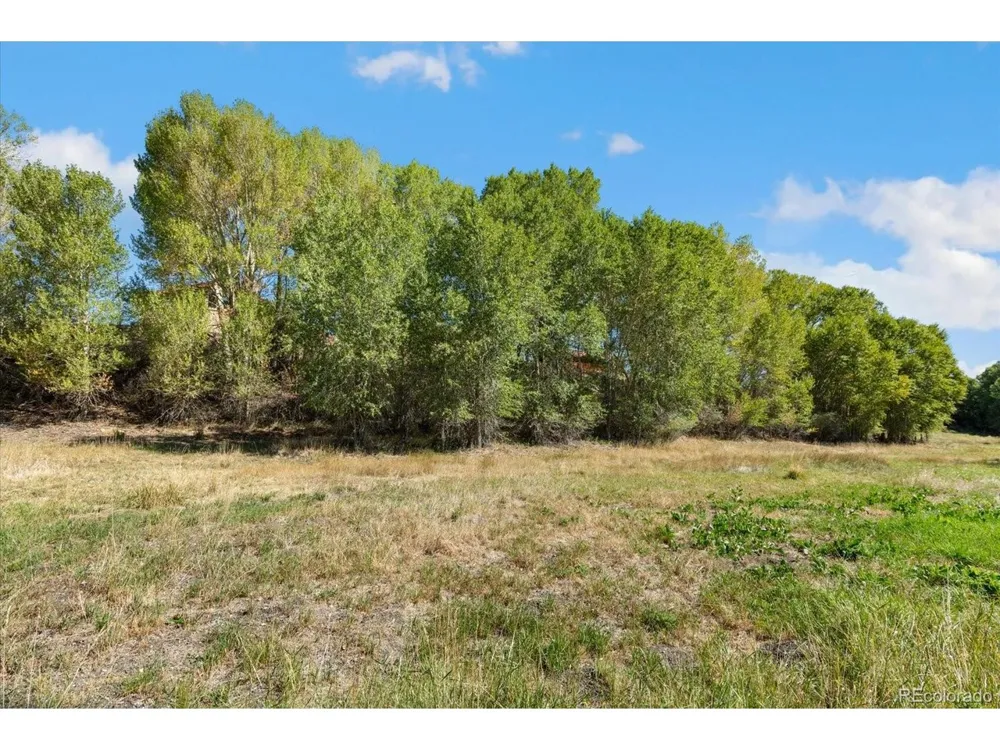 9901 County Road 120 Salida, CO 81201