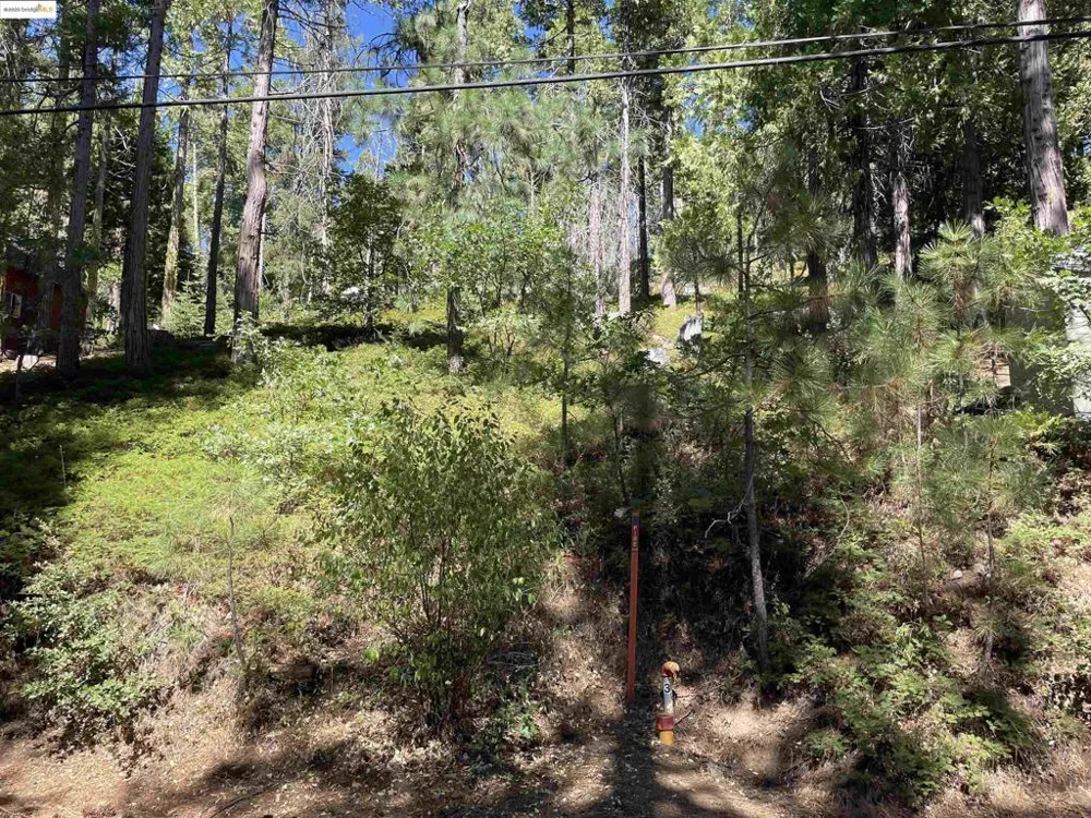 25476 Rebekah Rd Long Barn, CA 95335