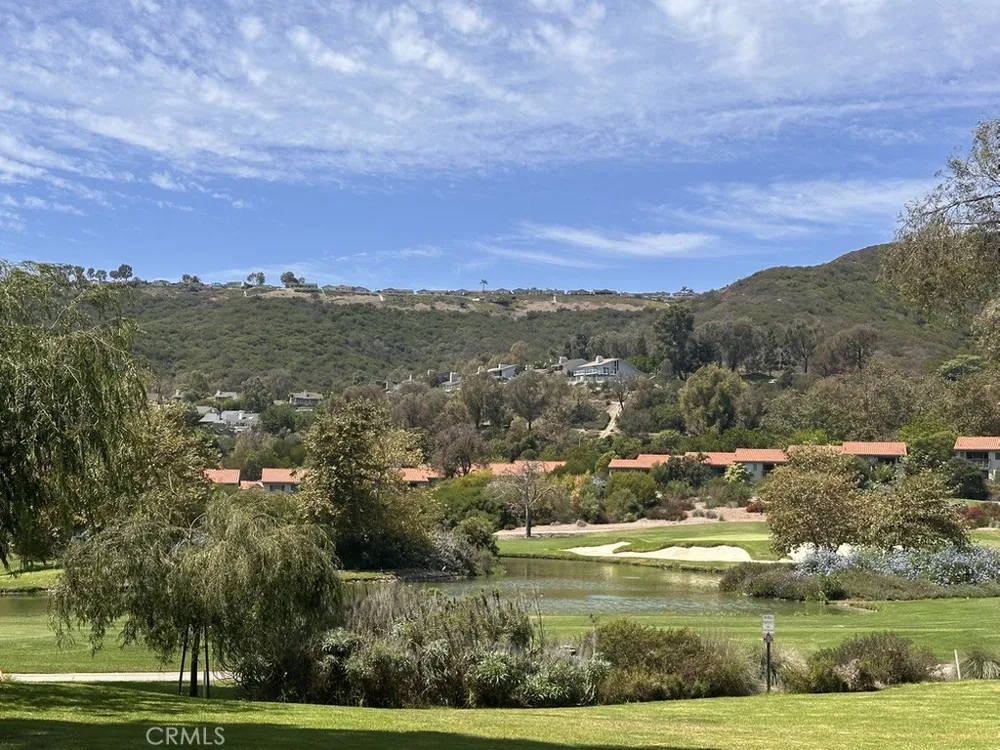 31383 E Nine Drive Laguna Niguel, CA 92677