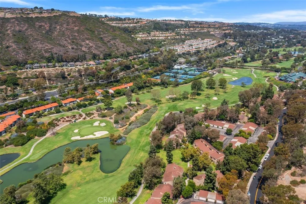 31383 E Nine Drive Laguna Niguel, CA 92677