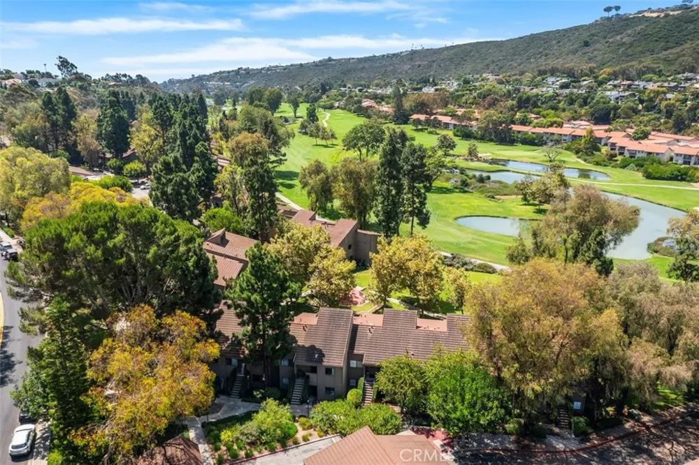 31383 E Nine Drive Laguna Niguel, CA 92677