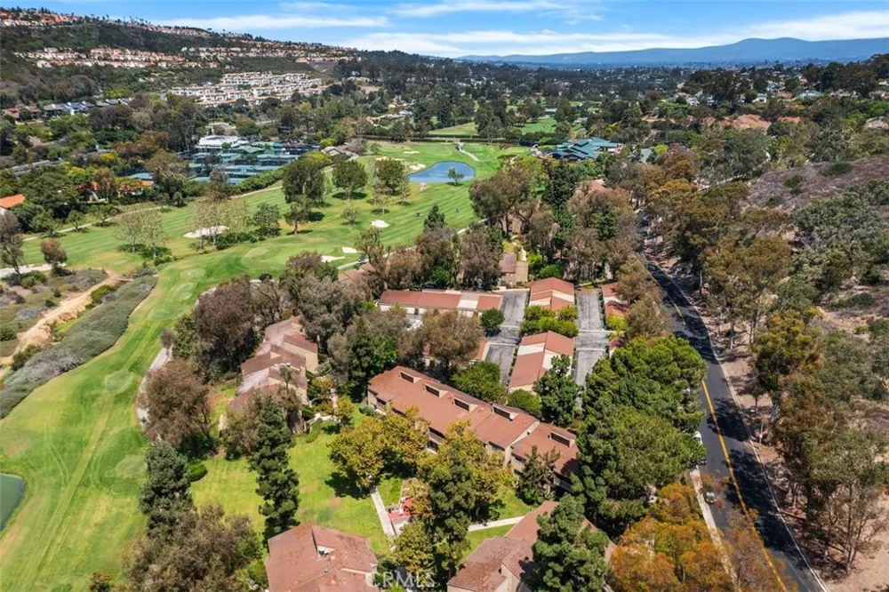 31383 E Nine Drive Laguna Niguel, CA 92677