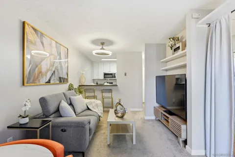 1621 Hotel Circle S #E230