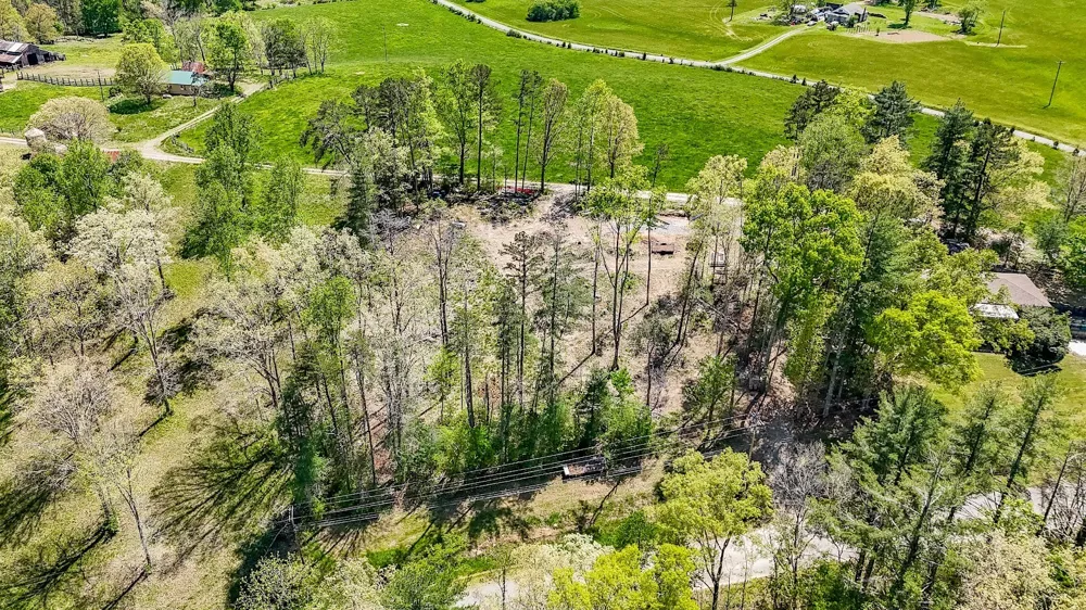 11 Cedar Hills Rd Grandview, TN 37337
