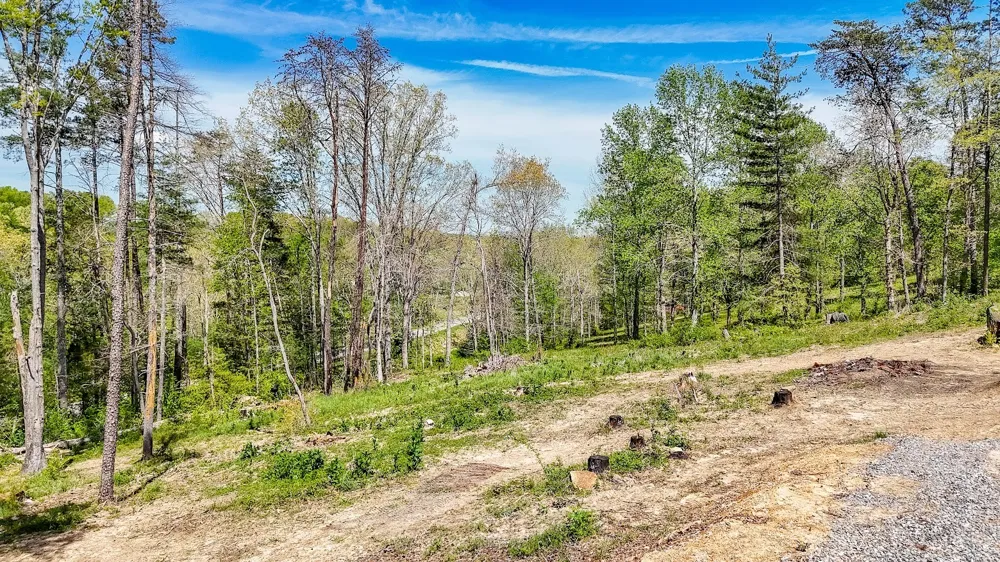 11 Cedar Hills Rd Grandview, TN 37337