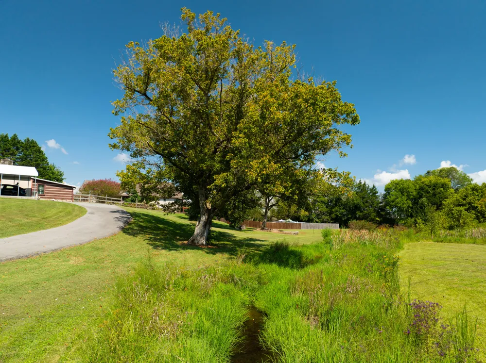 1745 31st Street NE Cleveland, TN 37323