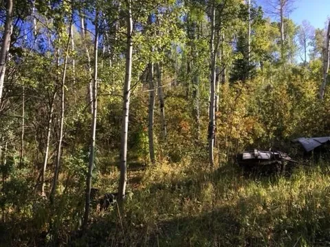 Rcr 24 Road