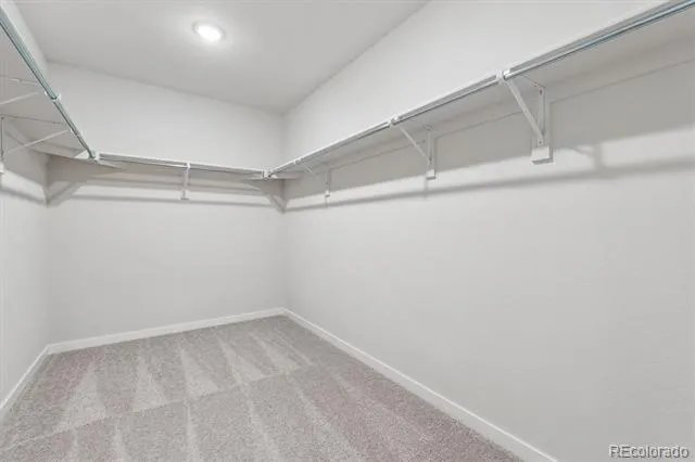 3691 Sandreed Street Dacono, CO 80514