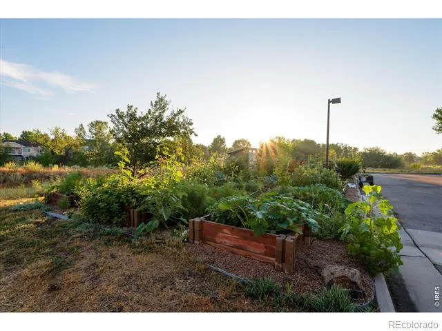 5620 Fossil Creek Parkway #7103 Fort Collins, CO 80525