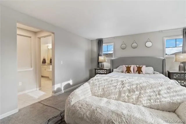1158 Bonnyton Place Castle Rock, CO 80104