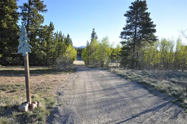 237 Foxtail Court Fairplay, CO 80440