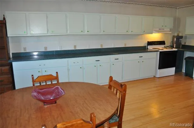 237 Foxtail Court Fairplay, CO 80440